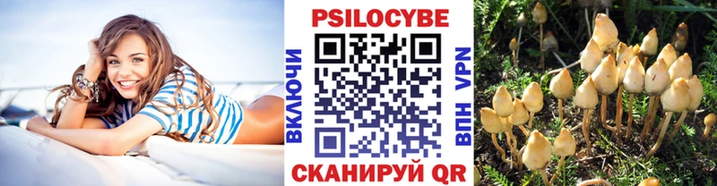 Псилоцибиновые грибы GOLDEN TEACHER нарко площадка Telegram Красный Кут ссылка на мегу ТОР